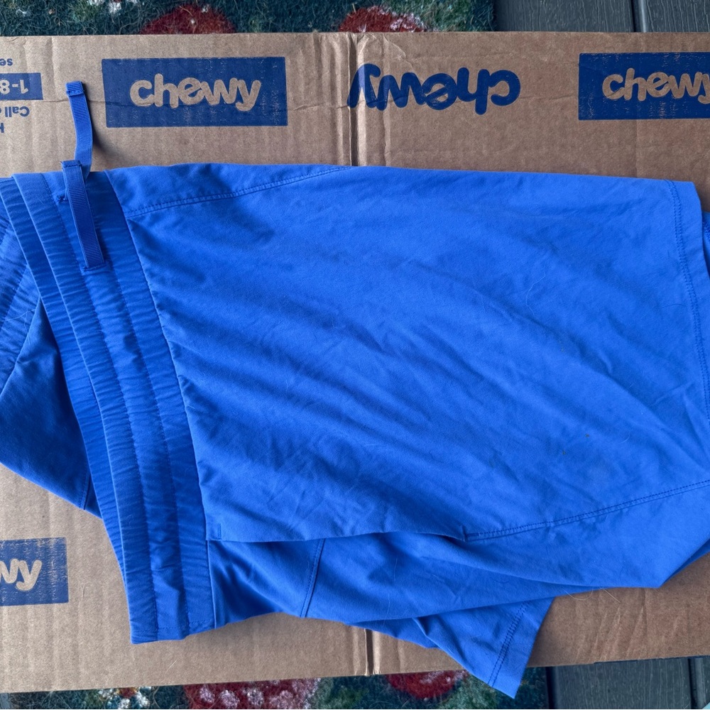 Blue Shorts